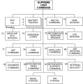 Thumbnail for version as of 16:50, 25 April 2018