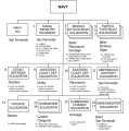 Thumbnail for version as of 16:03, 25 April 2018